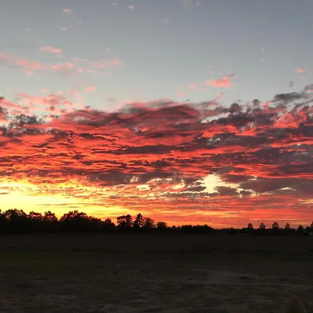 Loft In * Hügelsheim